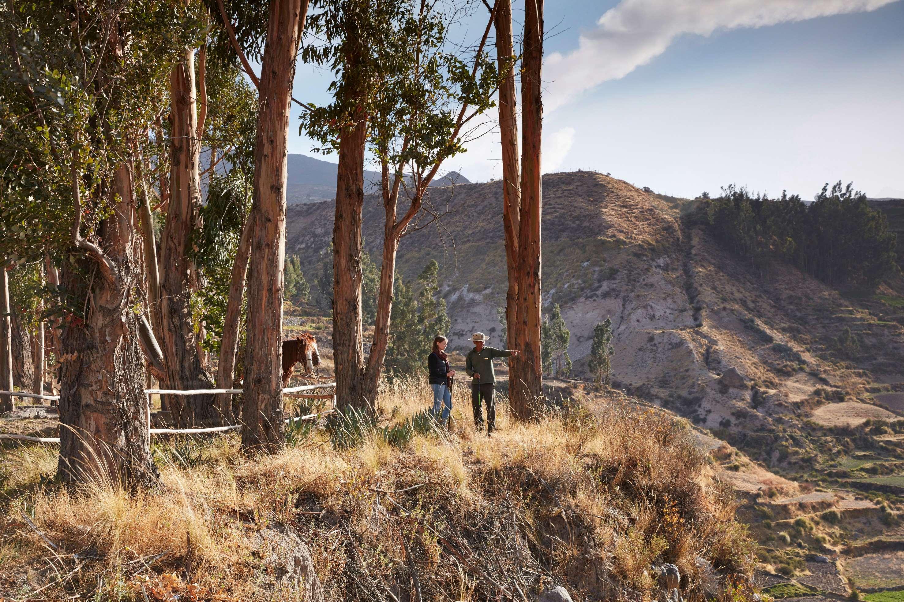 Las Casitas, A Belmond Hotel, Colca Canyon Yanque Екстер'єр фото
