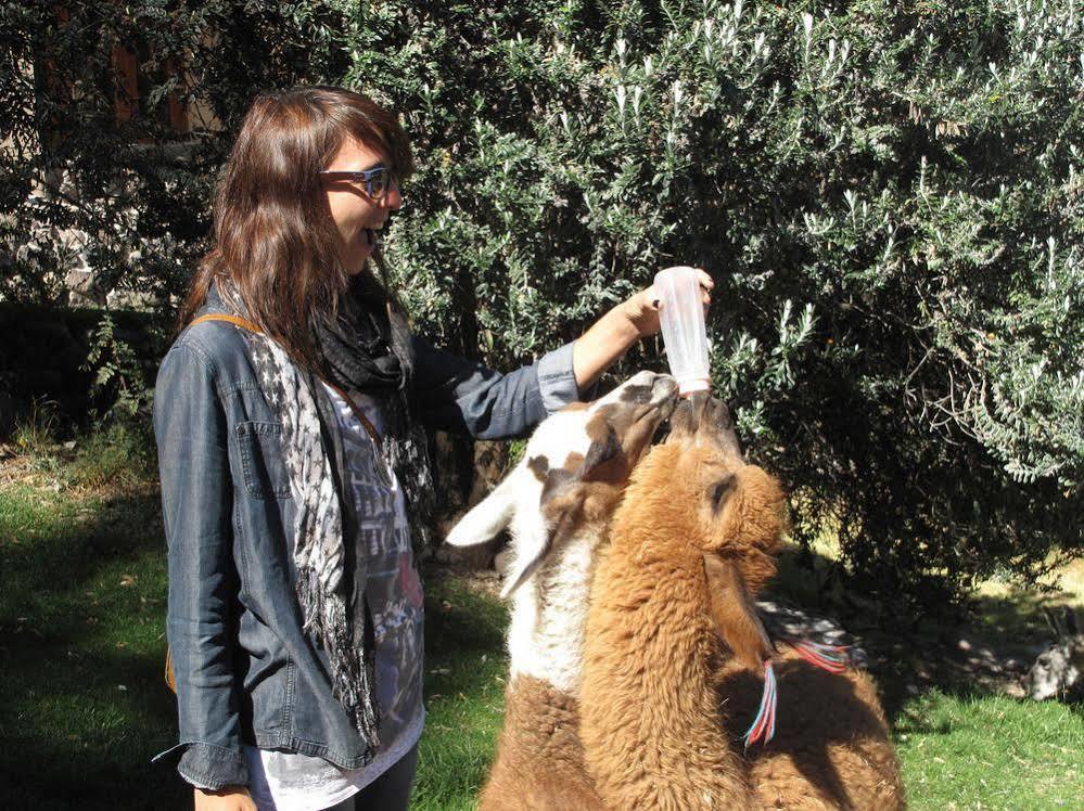 Las Casitas, A Belmond Hotel, Colca Canyon Yanque Екстер'єр фото